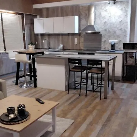 Au Bord De La Moselle Apartment Ramonchamp