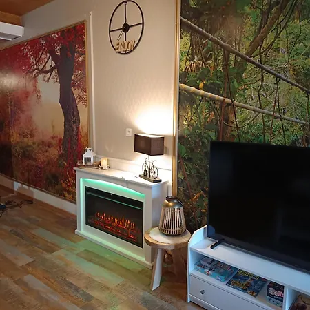 Au Bord De La Moselle Апартаменты *