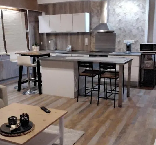 Au Bord De La Moselle 公寓 Ramonchamp