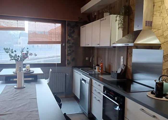 Au Bord De La Moselle 公寓 Ramonchamp