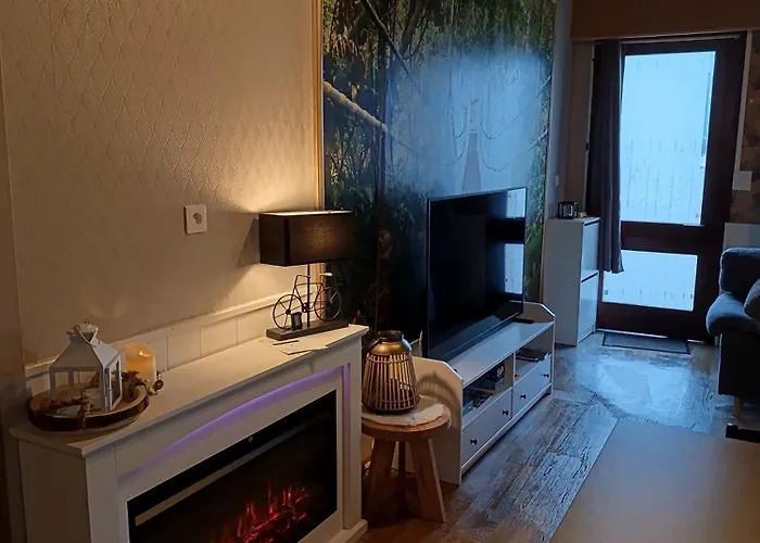 公寓 Au Bord De La Moselle